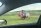 Grav accident de circulație în județul Cluj: un tânăr de 30 de ani este resuscitat la fața locului. A fost solicitată intervenția elicopterului SMURD