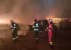 Incendiu devastator la o fermă din Cluj, 600 de porci au ars de vii - GALERIE FOTO