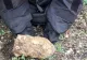 Panică într-o curte din România. Oamenii au găsit un proiectil exploziv