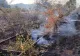 Circulația trenurilor CFR de călători s-a reluat parțial, după ce a fost blocată din cauza unor incendii de vegetație, între București și Craiova