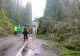Urgie pe Transalpina. Sute de turiști blocați ăn trafic, după ce o furtună puternică, cu grindină, a doborât mai mulți copaci - FOTO/VIDEO