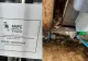 Dezastrul găsit de ANPC după controale la 29 operatori economici de la aeroportul Otopeni. Mizerie îngrozitoare, gândacii își făcuseră adevărate colonii