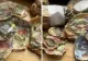 Un român și-a ars economiile de-o viață! Banii erau ascunși în sobă, dar a uitat de ei. La bancă, a urmat alt șoc! Ce s-a întâmplat la ghișeu - VIDEO