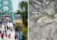 Alertă lângă o pasarelă pietonală din Satu Mare: bombă neexplodată, găsită de muncitorii care efectuau lucrări în zonă