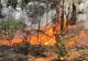 Alertă portocalie de incendiu în Parcul Natural Porțile de Fier: Sute de hectare de vegetație uscată ard de 6 zile! Mai multe case sunt amenințate - FOTO/VIDEO