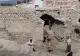 Descoperire terifiantă la granița României: Ce  s-a descoperit în sistemul de canalizare - VIDEO