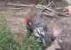 Accident grav în Neamț. Trei persoane au ajuns la spital după ce mașina în care erau a zburat de pe pod