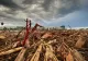 Trei români din zece cred că schimbările climatice sunt un FAKE NEWS. Cum percep românii relația cu mediul și natura - SONDAJ INSCOP