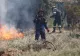 Risc ridicat de INCENDII, în Grecia! Zeci de focare în mai multe zone ale țării: pompierii duc o luptă contracronometru cu flăcările