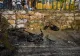 Zece morţi şi peste 30 de răniţi, în urma unor tiruri cu rachete asupra platoului Golan. Israelul acuză gruparea libaneză Hezbollah