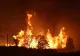 Incendiu devastator într-o localitate din Giurgiu. Ard 42 de hectare de pădure VIDEO