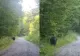 Cum a reacționat o tânără din România când s-a întâlnit cu ursul pe un traseu montan: „Nu l-am speriat, n-am luat-o la fugă”