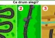 Test psihologic. Tu cât de bine te cunoști? Vei afla despre tine lucruri despre care nici nu bănuiai