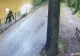 Urs împușcat de jandarmi. Mai multe nopți la rând a atacat animalele de la Zoo Tg. Mureș VIDEO