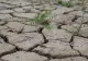 Deputatul Emil-Florian Dumitru: „Ne aflăm în pragul unui dezastru financiar agricol, riscând pierderea a 500 de milioane de euro”
