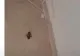 Cameră plină de gândaci într-un hotel de 4 stele, din Turcia! Vacanță de coșmar pentru un cuplu de români VIDEO