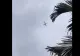 Sfârșit tragic pentru pasagerii unui avion comercial. Aeronava s-a prăbușit de la mare înălțime VIDEO