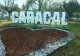 Originea expresiei despre carul cu proști care s-a rupt la Caracal. De fapt, nu se referă la oameni pe care nu-i duce mintea