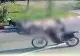 Copil pe o bicicletă, lovit de doi motocicliști în timp traversa pe o trecere de pietoni, la interval de câteva secunde VIDEO