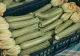 Ce trebuie să faci ca să ai o recolta bogata si sănatoasa de dovlecei de toamnă