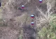 Ucrainenii au trecut la vânătoare de ruși, cu ajutorul dronelor. VIDEO cu soldații lui Putin fugind disperați să se salveze