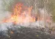 Incendiu de proporții în Hunedoara. Au ars 150 de hectare de vegetație. Mai multe locuințe sunt în pericol FOTO