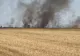Incendiu de proporții în Valea Călugărească. Ard 5 hectare de vegetație. Un autoturism a fost mistuit de flăcări