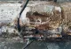 Un booster de rachetă inscripționat în limba rusă a fost descoperit în zona plajei Venus-Saturn