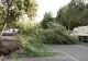 Vremea extremelor: canicula va fi înlocuită de instabilitate atmosferică. Unde vor lovi vijeliile, potrivit ANM
