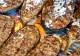 Vinete umplute cu carne tocată și legume: se topesc în gură. Cum obții textura cremoasă și gustul desăvârșit