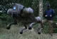 VIDEO - Ucraina și-a prezentat câinii roboți pe care îi va trimite pe front. Cu ce sunt dotate patrupedele robotizate