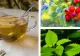 Cum să-ți subțiezi sângele în mod natural. Ce trebuie să consumi pentru a nu face cheaguri