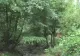 Locul de poveste iubit și de turiștii străini. Este o destinație de vis - VIDEO
