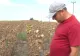 Perioadă neagră pentru fermieri. Seceta extremă a secat râul Călmățui. Culturi întregi, distruse