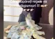 Tzancă Uraganu, aroganță de zeci de mii de euro: „Toți amărâții României” - VIDEO