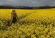 Prognoza meteo pe două săptămâni: canicula, stinsă de ploi de vară. Cum va fi vremea până pe 2 septembrie