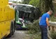 Sfârșit tragic pentru o româncă din Italia. A murit după ce autobuzul în care se afla s-a izbit de un zid VIDEO