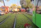 Accident grav, pe Șoseaua Progresului, din București: un mort, după impactul cu un tramvai. Substanțe psihoactive, depistate după testarea vatmanului - VIDEO