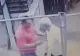Primele IMAGINI cu Ionel Ganea în timp ce-și lovește vecinii: fotografii halucinante. Fostul sportiv pare extrem de nervos și chiar lovește cu pumnul