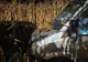 Accident șocant, pe o șosea din Mureș: un microbuz plin cu copii s-a izbit violent de o mașină