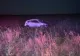 Accident tragic pe drumul Pogoanele - Scutelnici. Două vieți curmate și mai mulți răniți