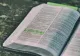 Cea mai cunoscută pildă din Biblie. Cât de profundă este și ce spune despre dragostea de mamă