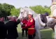 Vladimir Putin i-a dăruit lui Kim Jong-Un 24 de cai de rasă. Schimb de daruri între dictatori - VIDEO
