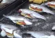 Regal culinar și de tradiții pe Faleza Dunării, la Brăila. Este a șasea ediție a Festivalului Peștelui - VIDEO