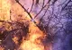 Incendiu de proporții în Buzău. O victimă a fost găsită fără suflare