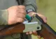 Trei bărbați au fost reținuți după ce au fost prinși cu două căprioare împușcate în căruță