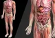 Cât de benefic este consumul de curcumină? Le face viața mai ușoară pacienților afectați de o boală genetică rară