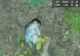 Fetiță de 10 ani, somnambulă, găsită dormind în mijlocul unei păduri. Copila a fost salvată cu ajutorul unei drone cu termoviziune