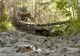 Război în Ucraina, ziua 992. Kremlinul vrea să recucerească regiunea Kursk. Aproximativ 50.000 de soldaţi ruşi şi nord-coreeni, pregătiţi de asalt - LIVE TEXT