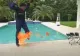 Un bărbat a fost atacat cu aruncătorul de flăcări de câinele său robot de 100.000 de dolari VIDEO